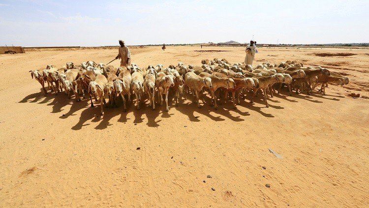 أكثر من 9 قتلى بمواجهات قبلية في دارفور سببها سرقة ماشية