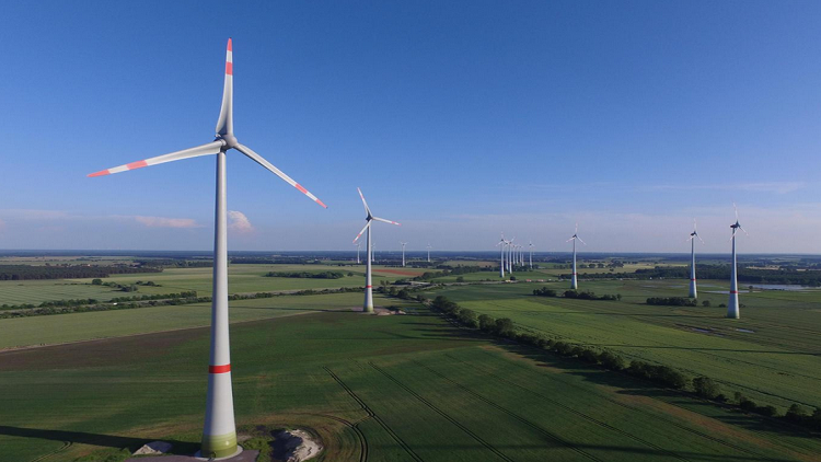 بمعدل 85%.. ألمانيا تحطم الأرقام القياسية في مجال الطاقة المتجددة