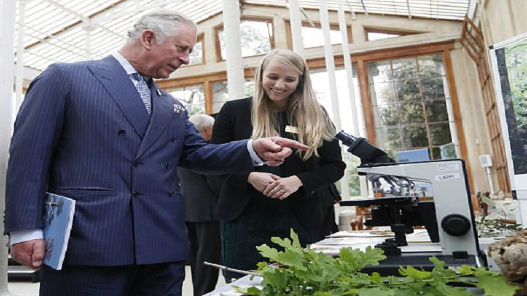 من الموسيقى إلى الطب.. 1700 نوع جديد من النباتات المفيدة