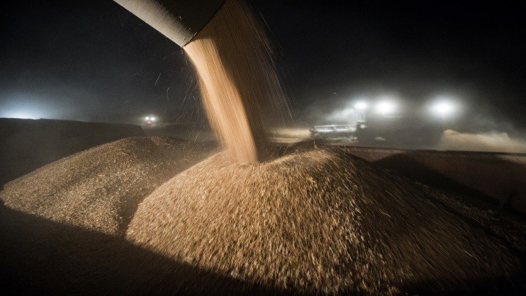 القاهرة تشتري 360 ألف طن من القمح الروسي والروماني في مناقصة