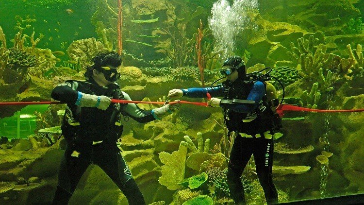 الروس يكتشفون بديلا عن البنزين