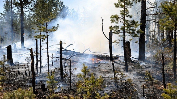 حرائق الغابات تلتهم 33 ألف هكتار شرقي روسيا