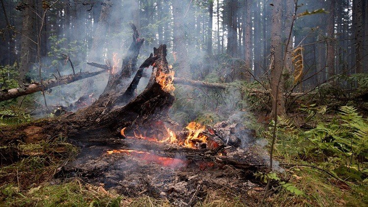 حرائق الغابات في شرق روسيا تلتهم مساحات واسعة