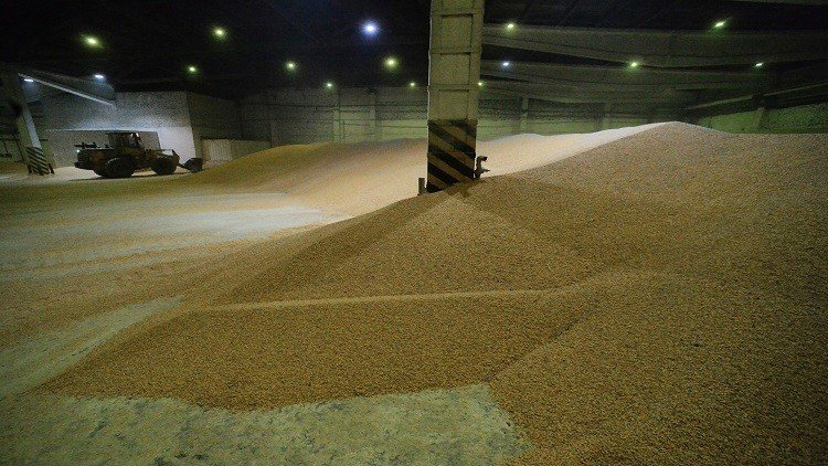 روسيا تخطط لتصدير 35 مليون طن من الحبوب