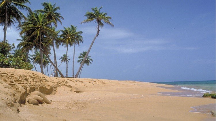 هل تنقذ أغنية "ديسباسيتو" اقتصاد بورتوريكو من الانهيار؟