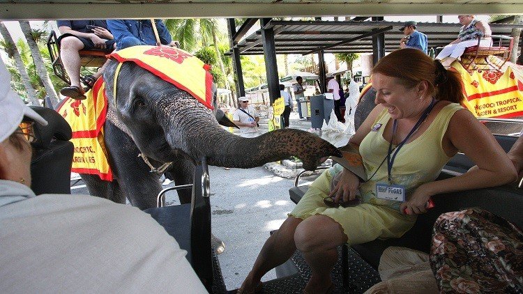 تايلاند تشهد إقبالا غير مسبوق للسياح الروس!