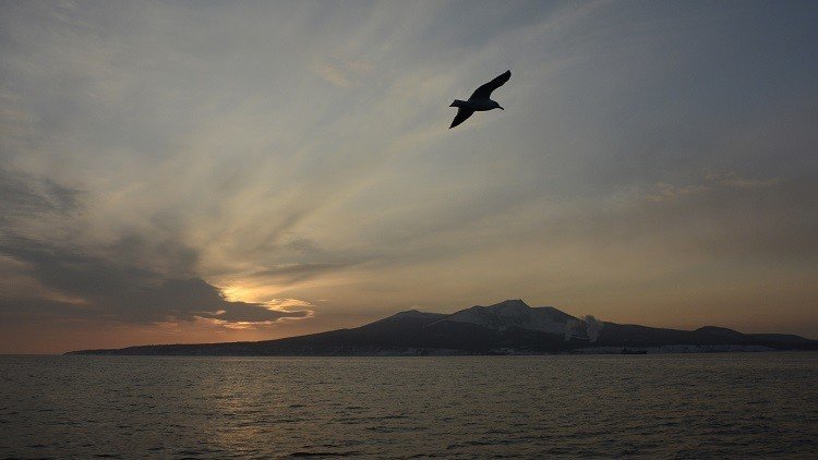 روسيا واليابان تبحثان السياحة في الكوريل