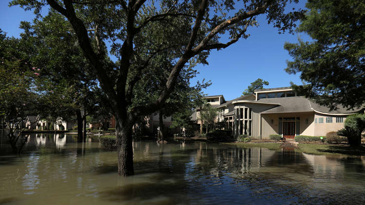 الإمارات تشارك في إعادة إعمار تكساس