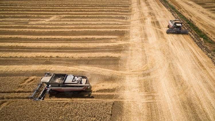 موسكو  توضح سبب إلغاء صفقة قمح مع دمشق