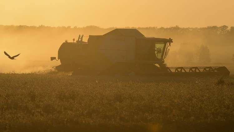 القمح الروسي يقتحم أسواق القارة الأمريكية