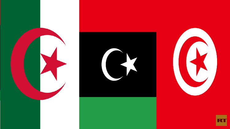تونس والجزائر ترفضان تعدد المبادرات حول ليبيا