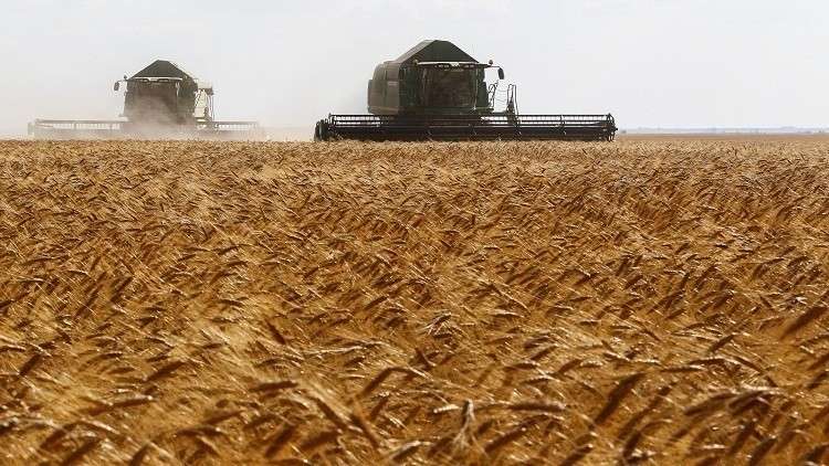 سوريا تشتري 3 ملايين طن من القمح الروسي