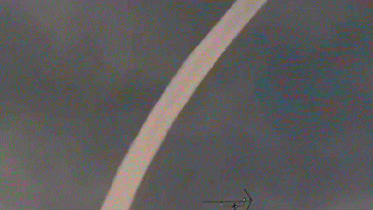 ثعبان هائل في سماء اليابان!