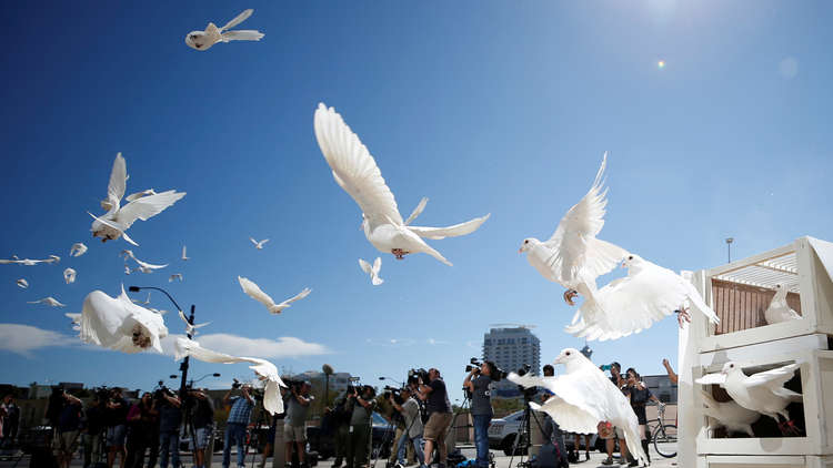إطلاق الحمام تكريما لأرواح ضحايا هجوم لاس فيغاس