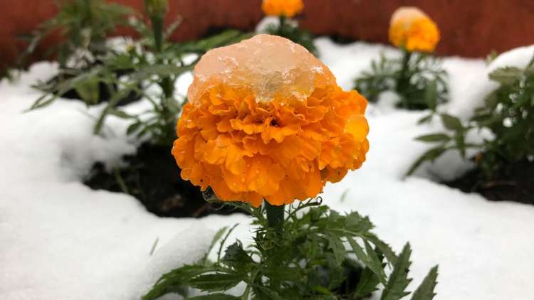 تساقط أول ثلج في موسكو 