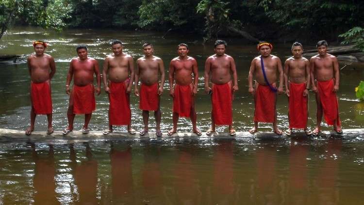 حرب البقاء في الأمازون!