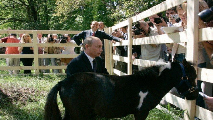 هذه الحيوانات في حديقة بوتين