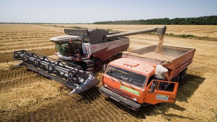 محصول القمح القياسي في روسيا يهدد الولايات المتحدة