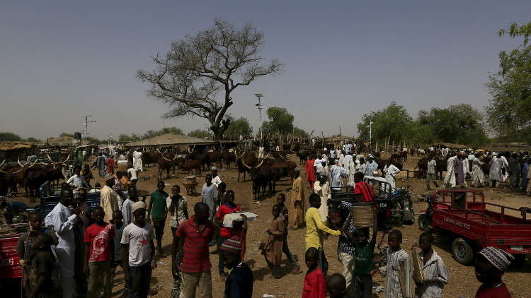 مقتل 30 من رعاة المواشي بهجوم مسلح في نيجيريا