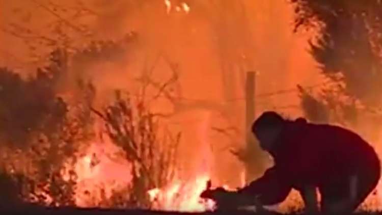 وكتب للأرنب عمر جديد!