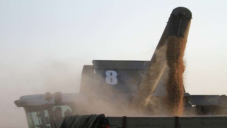 عروض زراعية روسية على طاولة الرياض