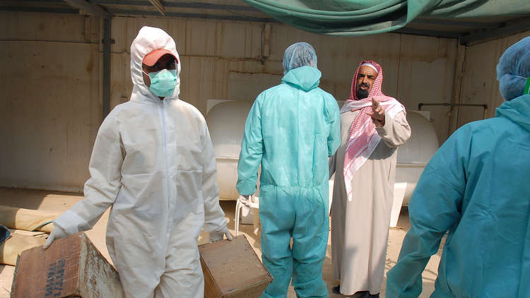 السعودية.. رصد إصابات بفيروس انفلونزا الطيور 
