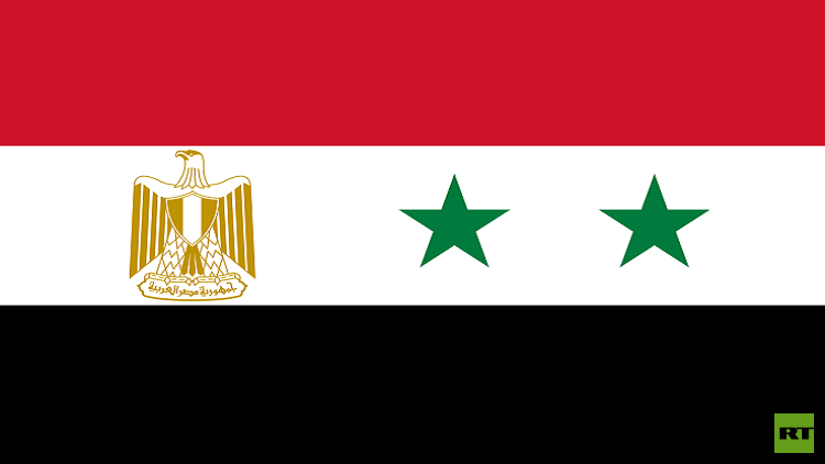 مصر تعتزم مد خط طاقة مع سوريا