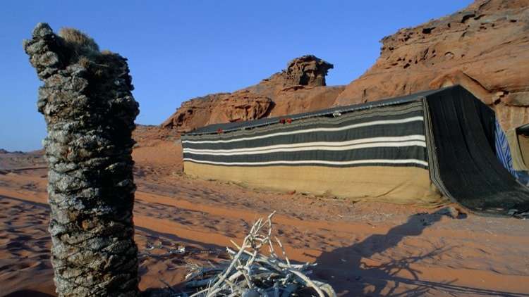 السعودية.. إشعارات بالإخلاء لـ 187 مخيما