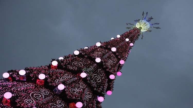 خبير مصري يقلب المفاهيم: شجرة الميلاد مصرية الأصل!