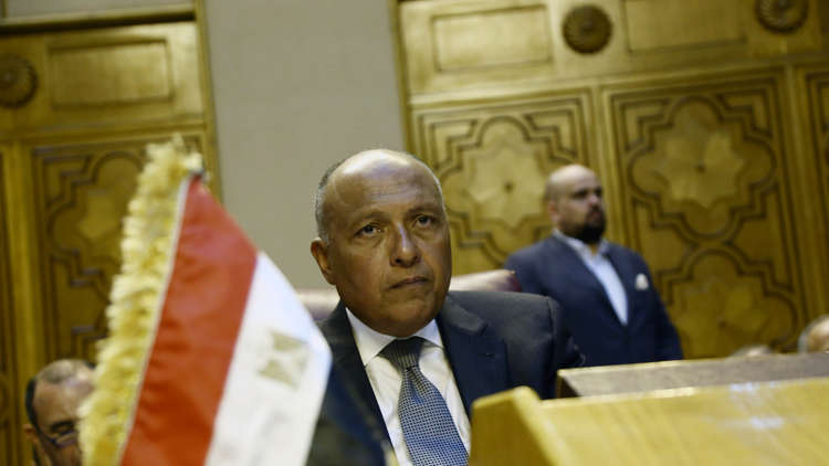  شكري: مصر ستحارب المقاتلين الأجانب في إفريقيا