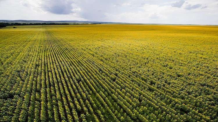 روسيا تعتزم تصدير منتج جديد إلى سوريا 