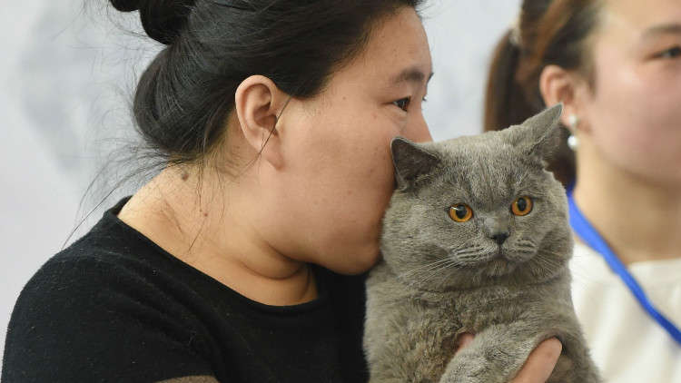 لماذا أدمن شباب الصين على شمّ القطط؟