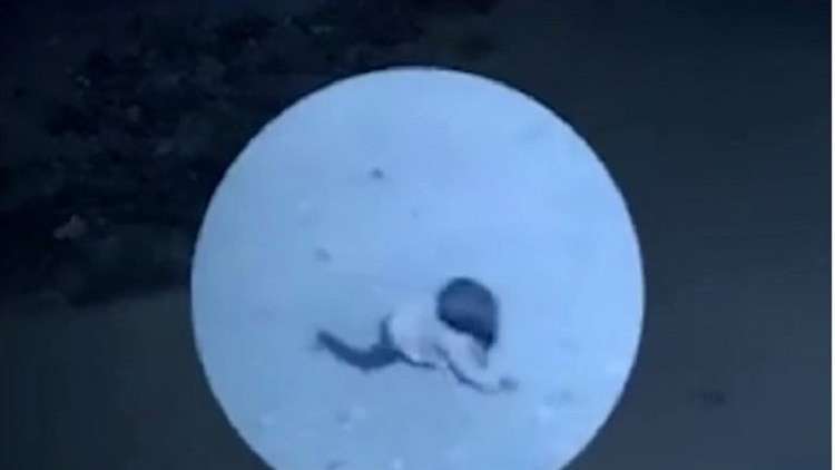 مأساة مؤلمة.. كلبان مسعوران يمزّقان طفلة رضيعة!