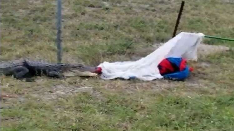 شجاع يحرر تمساحا عالقا في مصيدة