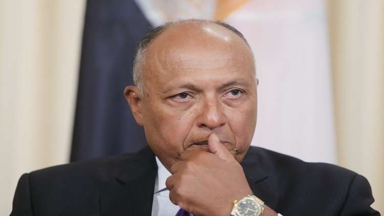 سامح شكري يعلق على إمكانية دخول مصر في حرب مع دول أخرى