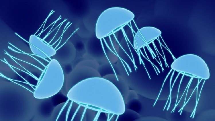 الكيميائيون يخلقون قناديل البحر من الغرافين والأمونيا