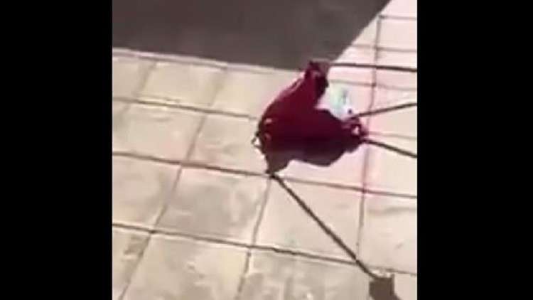  ثعبان داخل حقيبة طالبة في السعودية