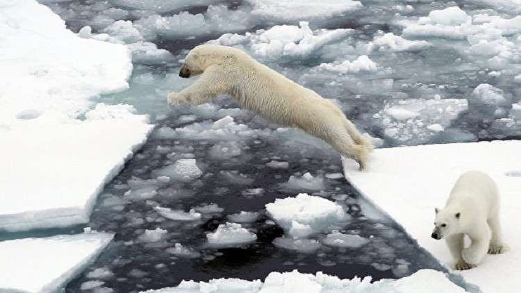 تسجيل أدنى مساحة لجليد القطب الشمالي