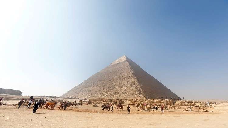مصر.. عودة الذهب الأبيض المصري إلى الأسواق العالمية