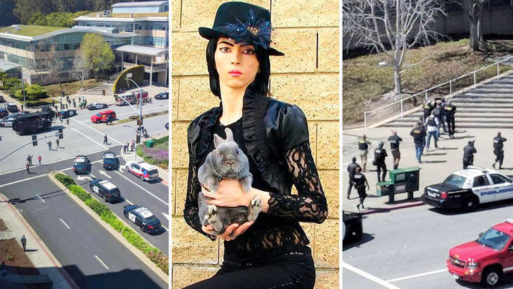 معلومات غير مسبوقة عن منفذة الهجوم على "يوتيوب" ودوافعها