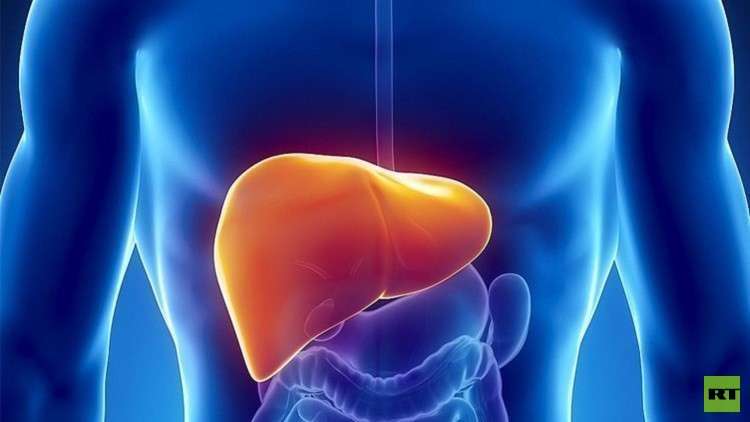 اكتشاف طريقة لتجديد خلايا الكبد