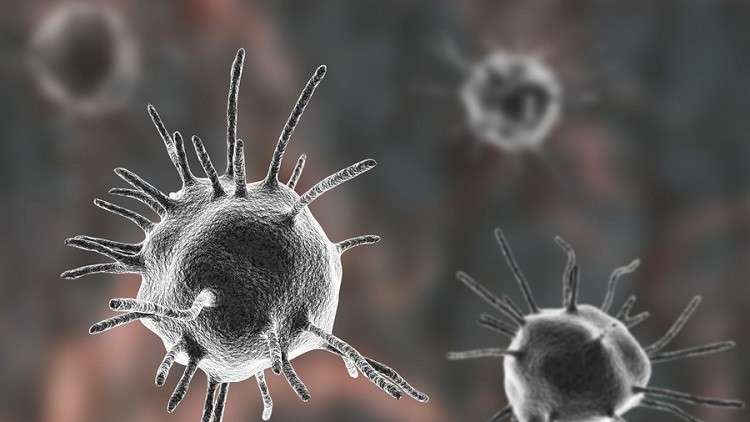 دراسة تكشف أصل فيروسات بشرية عمرها ملايين السنين