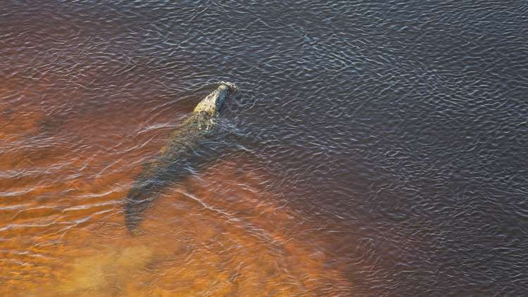 عالم مصري يكشف ما سيحل بـ