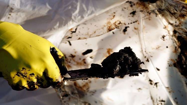 اكتشاف بكتيريا آكلة للنفط قد تقضي على أخطر الكوارث البيئية