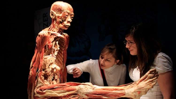 معرض للتشريح يستخدم جثث السجناء!