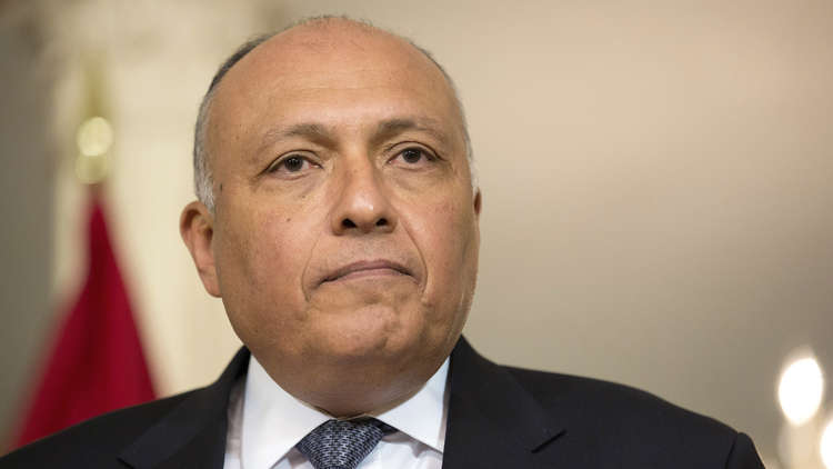 شكري ينفي أن تكون فرنسا طلبت من من مصر إرسال قوات إلى سوريا