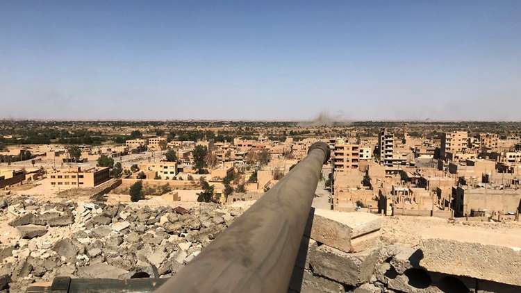 وزير الخارجية المصري يعلق على فكرة إحلال قوات عربية في سوريا