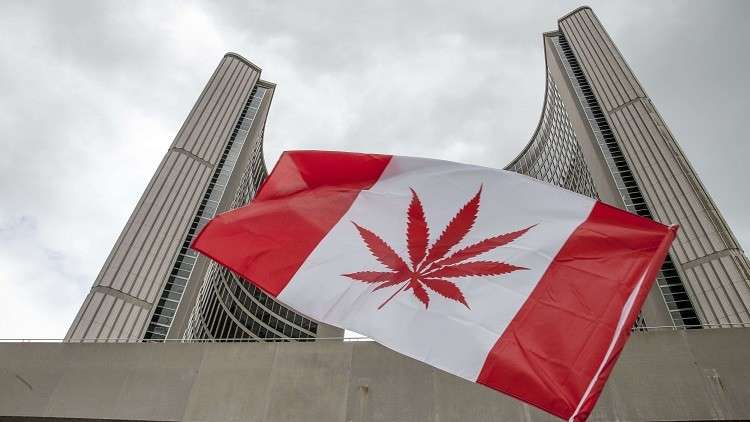 كندا بصدد شرعنة الماريخوانا هذا العام