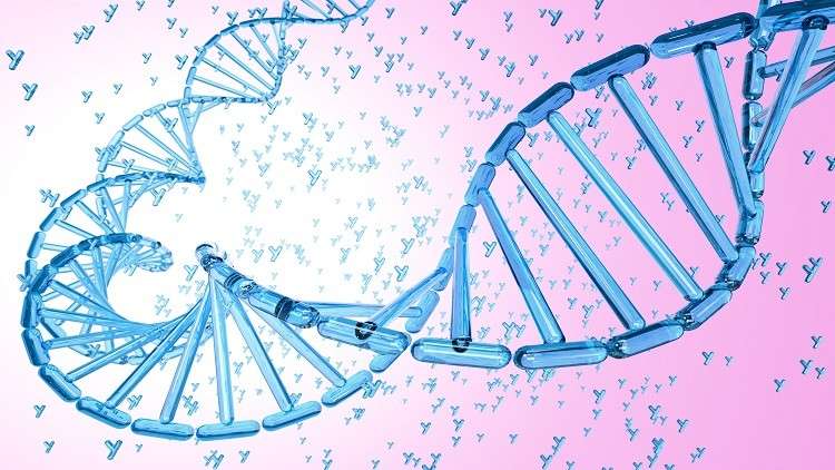 اكتشاف جين ذكوري يحمي من الشكل العدواني للّوكيميا