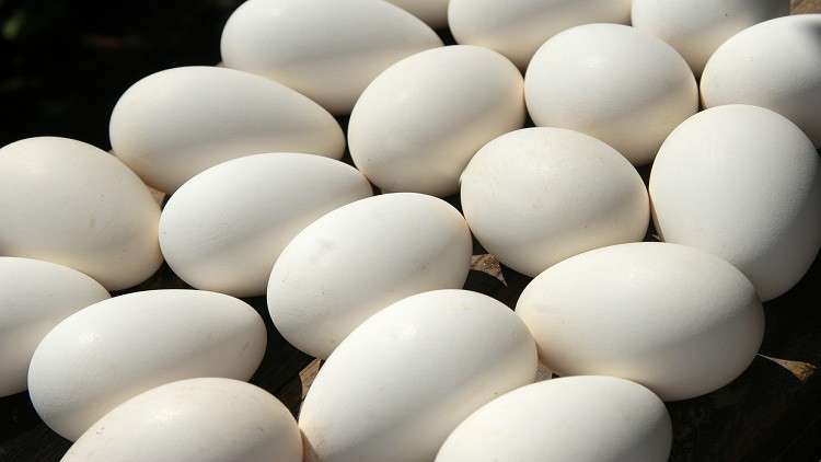 كم بيضة يمكن لمريض السكري تناولها في اليوم؟